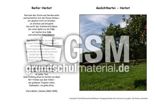 Reifer-Herbst-Müller-Jahnke.pdf